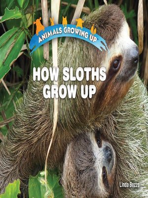 cover image of How Sloths Grow Up